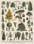 Mobile Preview: "Wald - Bäume" Cavallini Vintage Puzzle, 1000 Teile